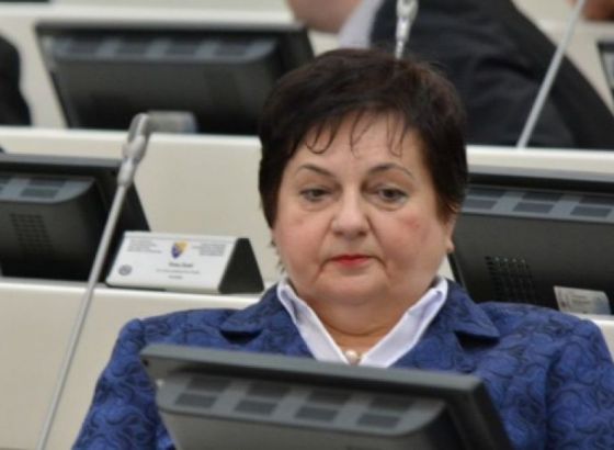 Majkić na devetnaestom zimskom zasjedanju PSOSCE-a u Beču