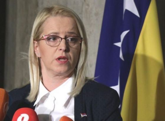 PSBiH - Novaković-Bursać sutra na zasjedanju Biroa i dva komiteta PSVE u Parizu
