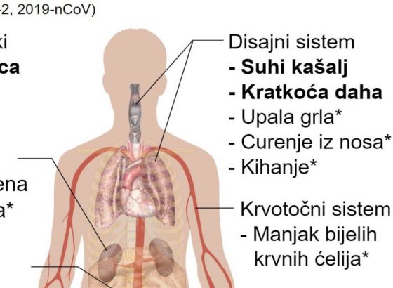 Preuzmite besplatni priručnik o prevenciji i liječenju koronavirusa