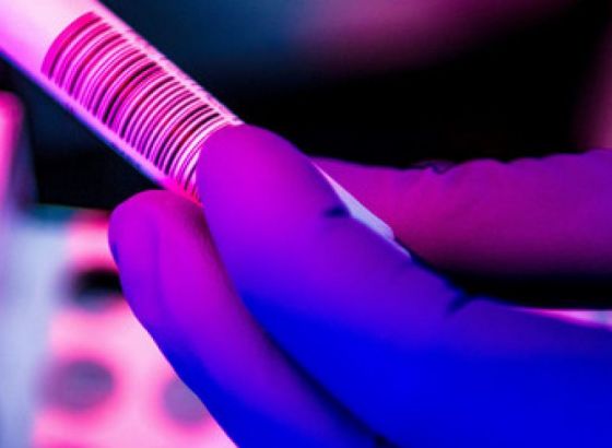 Čemu služe nagađanja da li je ovaj virus napravljen u laboratoriji ili nije