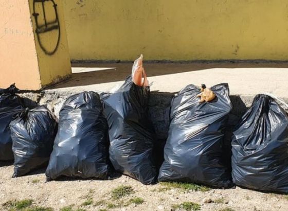 Ekološki aktivisti planiraju očistiti svih 59 naseljenih mjesta u Tomislavgradu