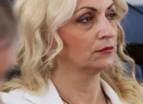 Šahman: Niko u BiH nije imao maske, CZ je moga sina zvala u pomoć