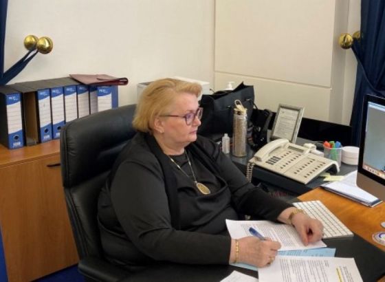Turković na videokonferenciji ministara vanjskih poslova Balkana i zvaničnka EU