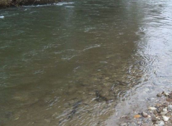 Tužbe protiv spornih rješenja za male hidroelektrane na Neretvici