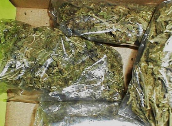 U akciji 'Jezero 2' oduzeto oko pola kilograma marihuane