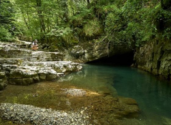Online kampanja - Glas umjetnika za spas rijeka Balkana