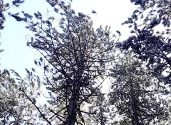 Procjena stanja prirode i upravljanja prirodnim resursima
