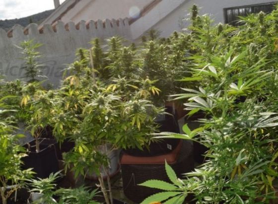 U akciji 'Skradin' uhapšeno više osoba, oduzeta marihuana, eksploziv i novac