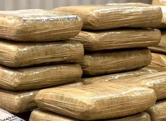 Uhapšene četiri osobe, oduzeto više od 20 kg marihuane i skanka