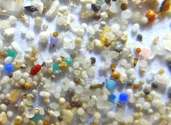 Studija otkrila mikroplastiku u ljudskim organima i u tkivu