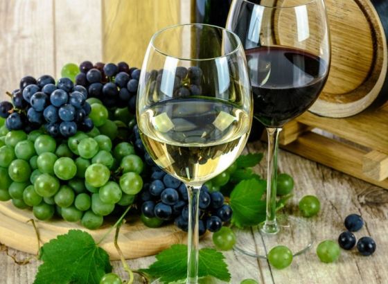 Kultura pravljenja vina u Hercegovini
