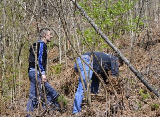 Općina Jablanica novim sadnicama ukazuje na važnost očuvanja okoliša