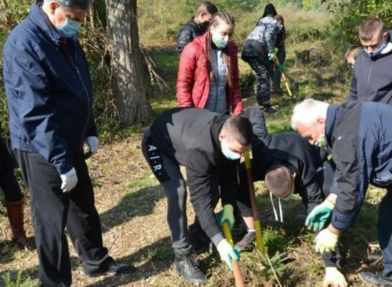 Nove sadnice u okviru projekta 'Inicijativa za zeleniju i održivu budućnost'