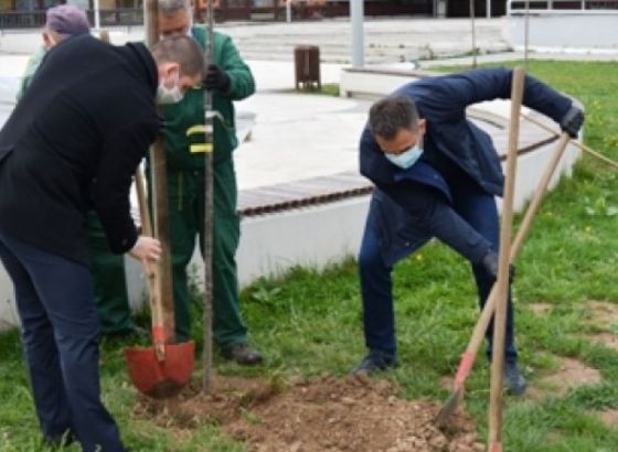 Akcija sadnje drveća u svim glavnim gradovima zemalja zapadnog Balkana