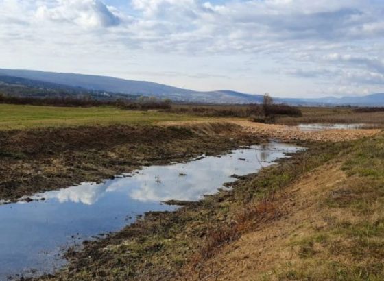 WWF Adria: 'Prikancu' iz Mostarskog blata prijeti nestanak