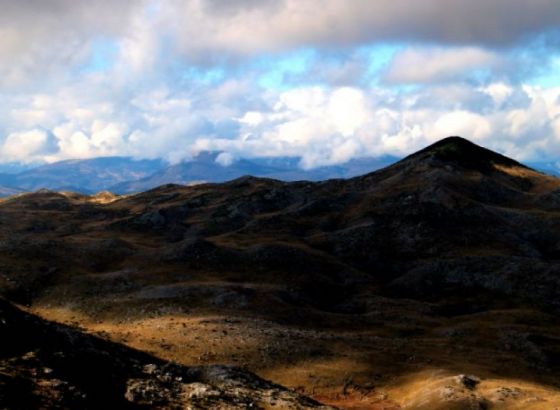 Međunarodni dan planina - Sačuvajmo planinsku bioraznolikost