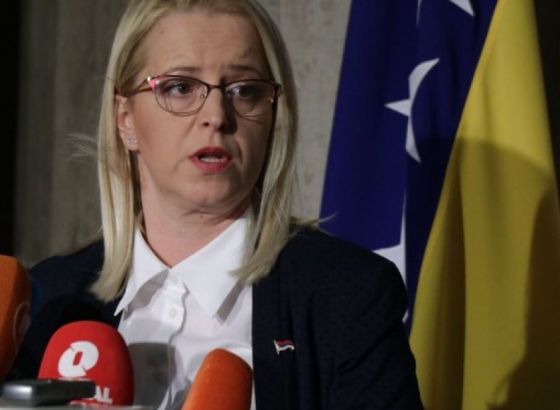 PSBiH: Novaković-Bursać na video-sjednici Komiteta za socijalna pitanja PSVE