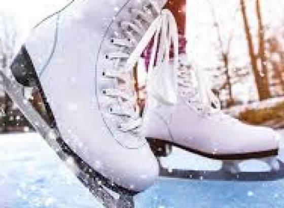 Otkazano Europsko prvenstvo u klizanju u Zagrebu