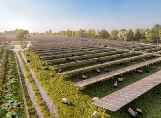 Bečka elektroprivreda Wien Energie - Rekordna ekspanzija solarne energije