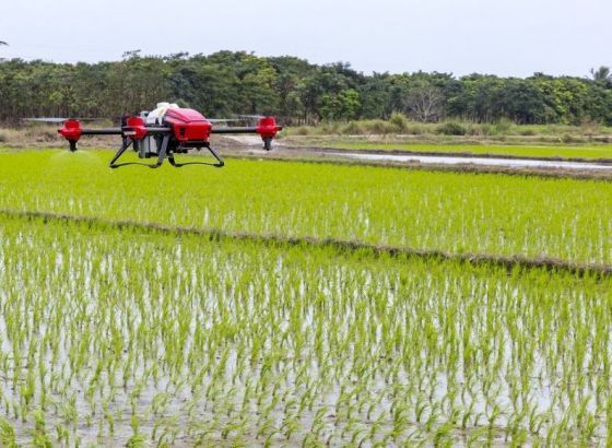 Britanci će drveće na teško pristupačnim mjestima saditi pomoću dronova
