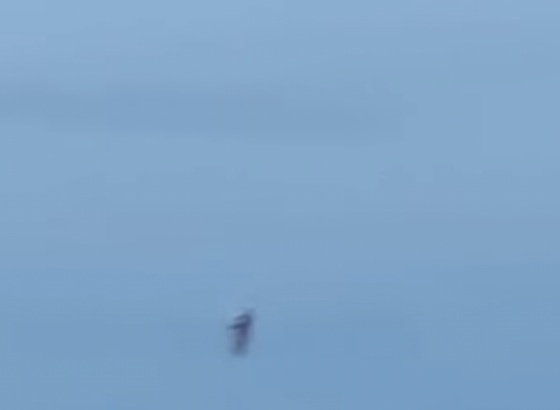 I dalje nije poznato ko je letač jetpacka koji zbunjuje pilote u Los Angelesu