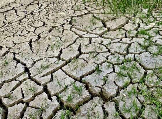 UNDP-ov 'Glas građana za klimu' - Većina građana poziva na široku akciju