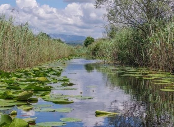 WWF: Očuvati izvore slatke vode kako bi u budućnosti voda bila dostupna svima