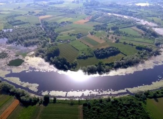 Na Svjetski dan zaštite močvarnih staništa izložba u Banjoj Luci
