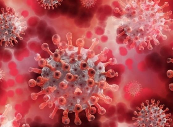 U Hrvatskoj 502 novozaražena koronavirusom, umrlo 18 osoba