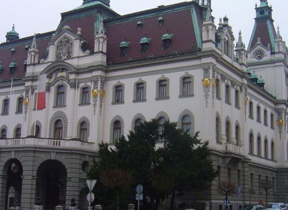 Slovenija pooštrava režim ulaska zbog novih sojeva koronavirus