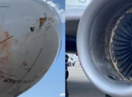Zahvaljuju Bogu što su živi: Avion sa igračima Jute prinudno sletio zbog udara ptica