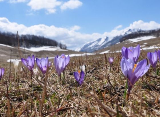 Zaštiti okoliš,zaštiti sebe: Ekološki fenomeni Bosne i Hercegovine