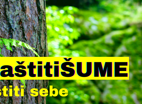 #ZaštitiŠume: Najlakše je optužiti vlast, šumare i političare, a šta je sa nama građanima!?