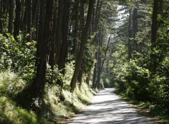 Izgradnja klimatski otporne budućnosti Bosne i Hercegovine