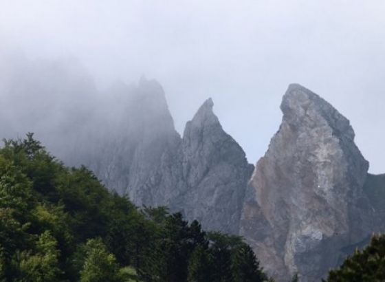 Bez odgovornog odnosa prema prirodi ne možemo očuvati zdravlje