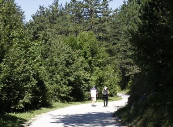 Bosna i Hercegovina država s najmanjim postotkom zaštićene prirode u Evropi