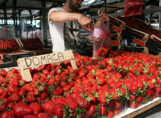 Srbija: Uhićeno 68 osoba zbog izvoza voća u Rusiju
