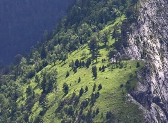 WWF Adria: Za skladnu budućnost potrebne su nam hitne mjere za ljude i prirodu