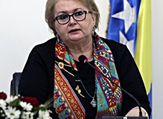 Turković: BiH spremna na sve investicije i zajedničke projekte, ali samo uz poštivanje ustava