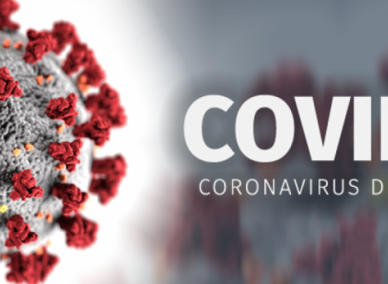 Crna Gora: 74 nova slučaja koronavirusa, jedna osoba umrla