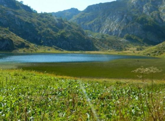 Zaštiti okoliš,zaštiti sebe: Šta smo dobili usvajanjem Zakona o zaštiti okoliša FBiH
