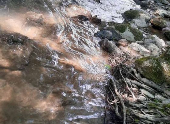 FUZIP - Na rijeci Trešanici nisu uočene naftne mrlje i pomor ribe
