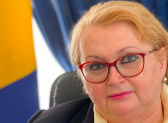 Turković: Nije predloženo ukidanje viznog režima za SA, već privremena suspenzija