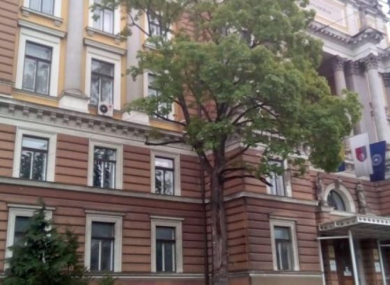 Univerzitet u Sarajevu promovira 71 doktora nauka