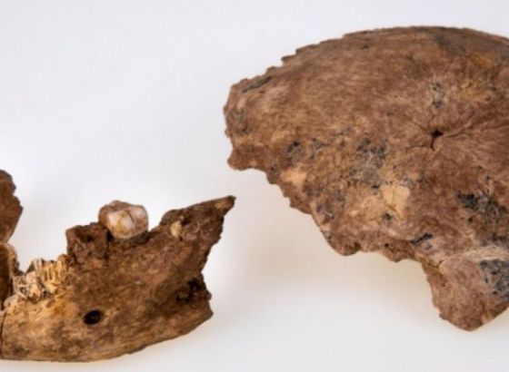 Neandertalci nemaju čisto evropsko porijeklo