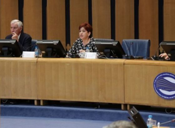 Palmer i Eichhorst na sastanku s članovima radne grupe za izmjenu izbornog zakona