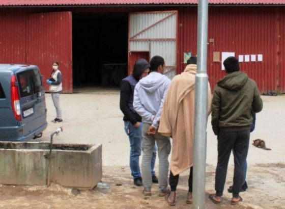 Otkriven ilegalni kamp migranata na sjeveru Srbije