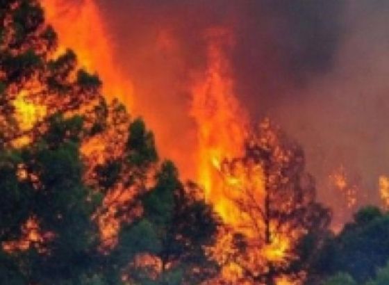 Požar na Braču gasi 58 vatrogasaca i dva kanadera