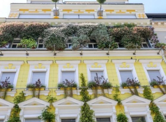 Bečke subvencije za zelene krovove do 20.200 eura