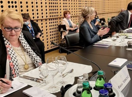 Turković: Snažno razmotriti potencijal zapadnog Balkana